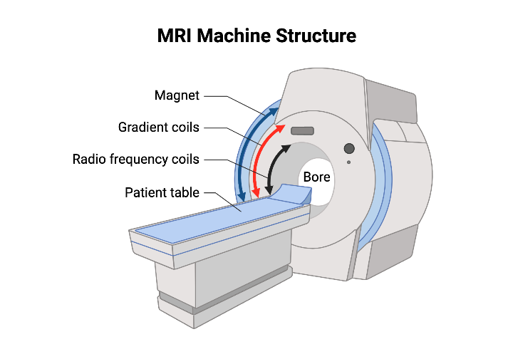 MRI machine structure